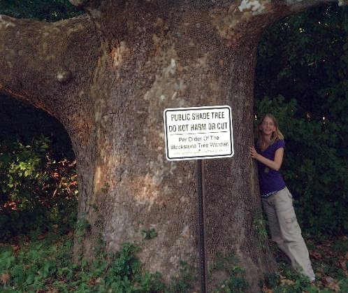 Tamara hugging a large sycamore tree